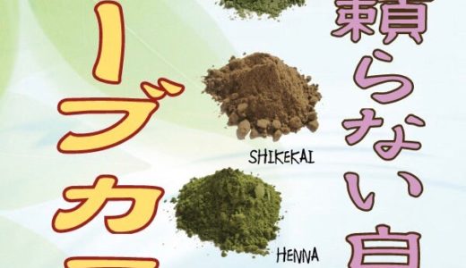 ヘナができるサロンです。